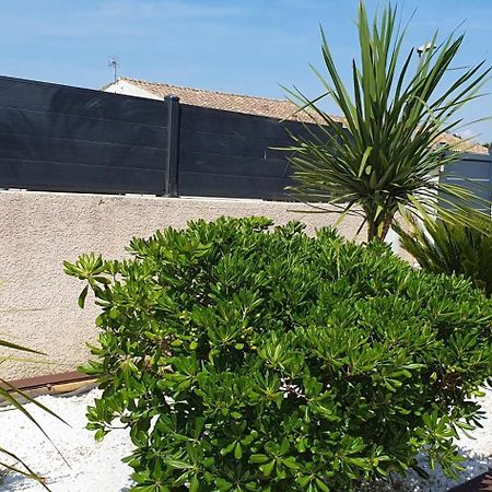La Villa De L'Olivier Piscine Privee Et Parking قرقشونه المظهر الخارجي الصورة